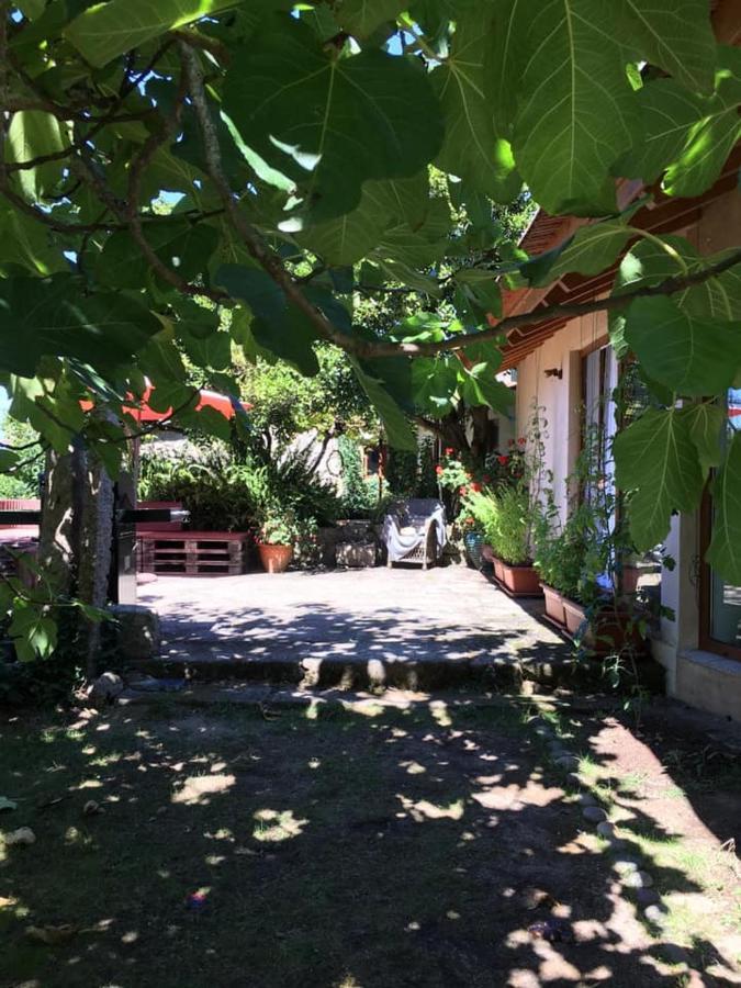 Pilgrims Rest - Vila Nova De Cerveira - Hostel - Albergue - Al Zewnętrze zdjęcie