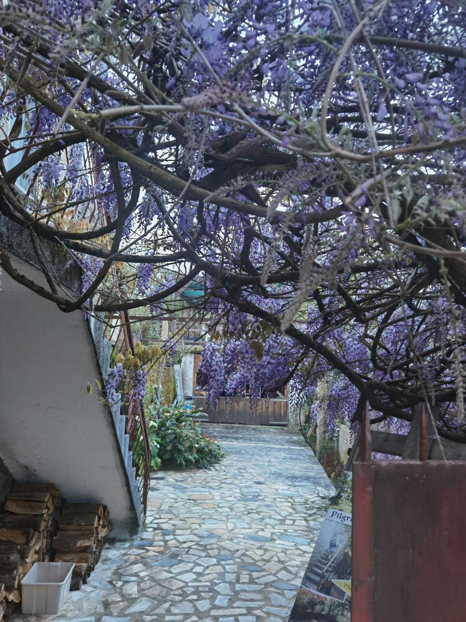 Pilgrims Rest - Vila Nova De Cerveira - Hostel - Albergue - Al Zewnętrze zdjęcie