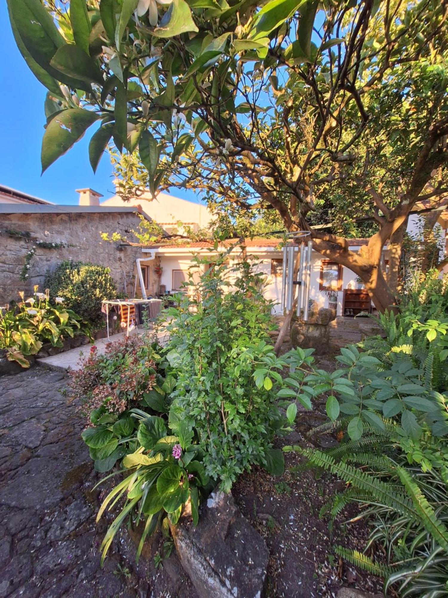 Pilgrims Rest - Vila Nova De Cerveira - Hostel - Albergue - Al Zewnętrze zdjęcie